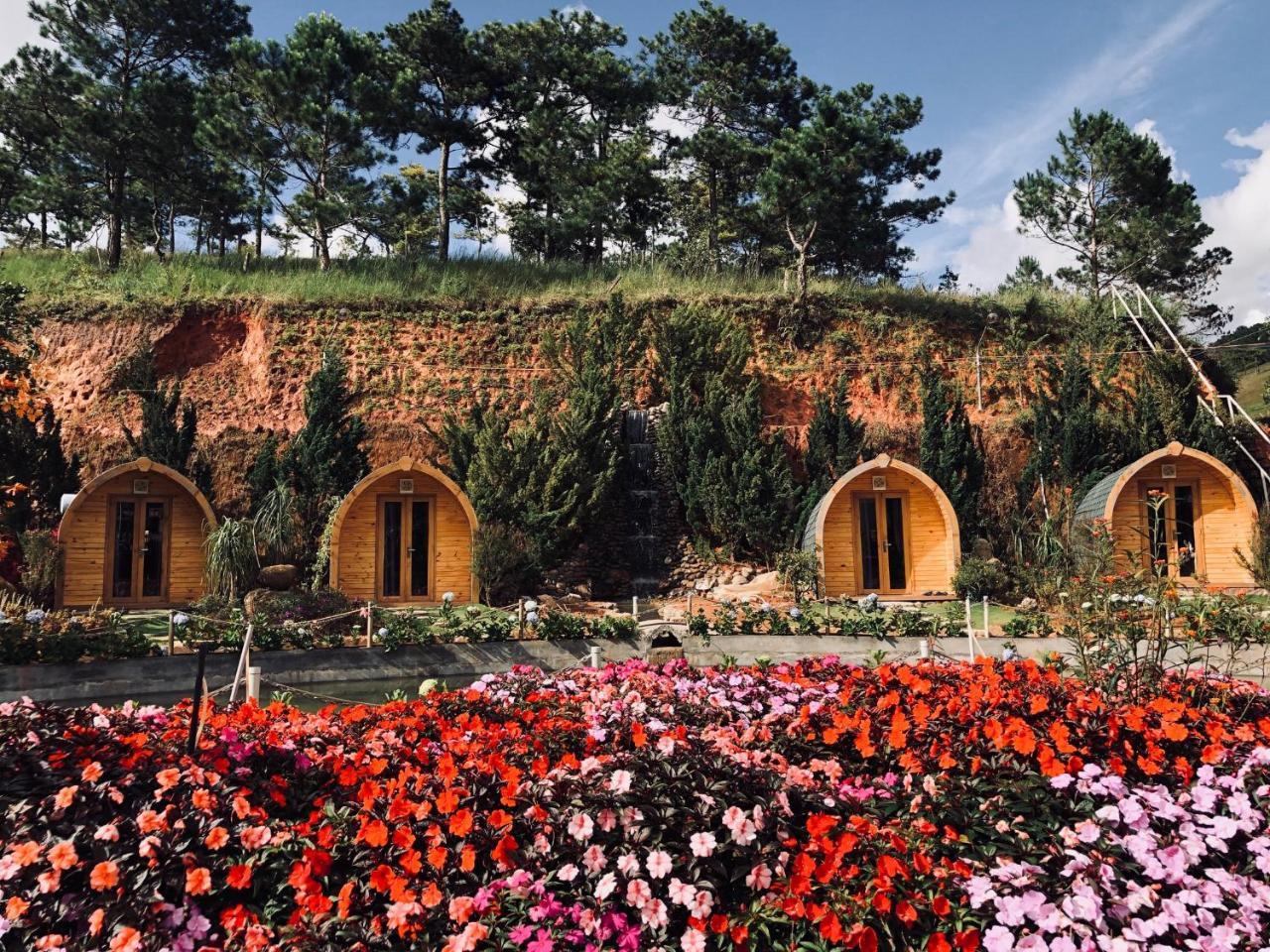 Berry Valley Homestay Da Lat Zewnętrze zdjęcie