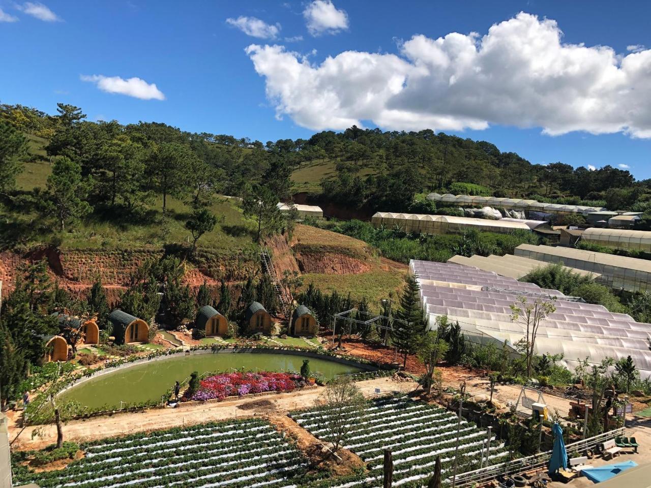 Berry Valley Homestay Da Lat Zewnętrze zdjęcie