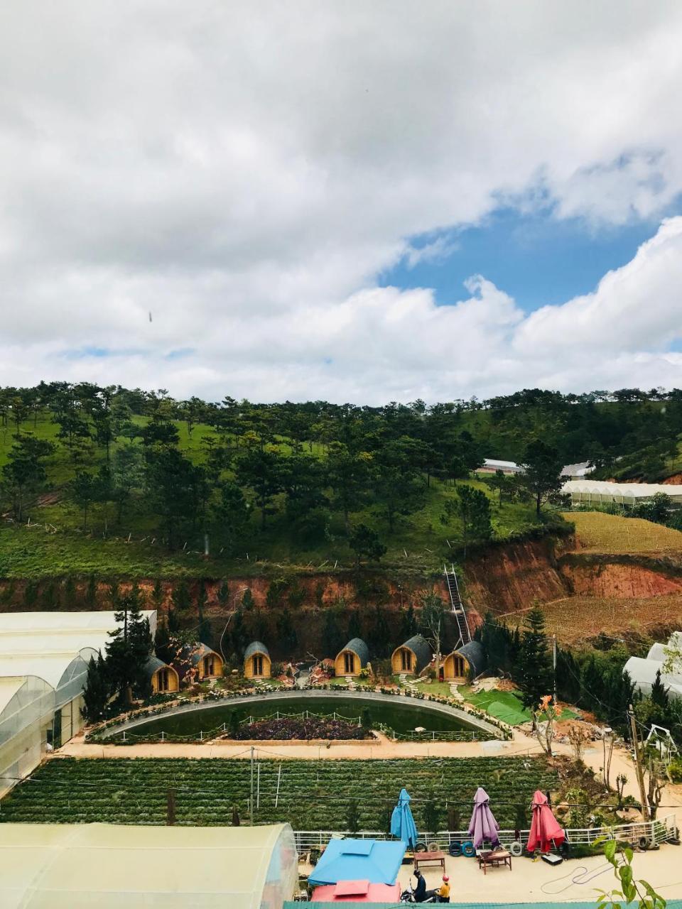 Berry Valley Homestay Da Lat Zewnętrze zdjęcie